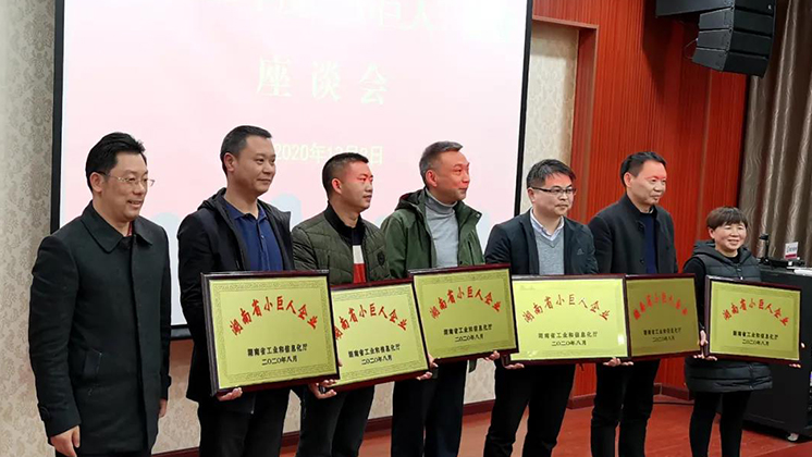 喜大普奔！suncitygroup太阳新城官网被评为湖南省“小巨人”企业
