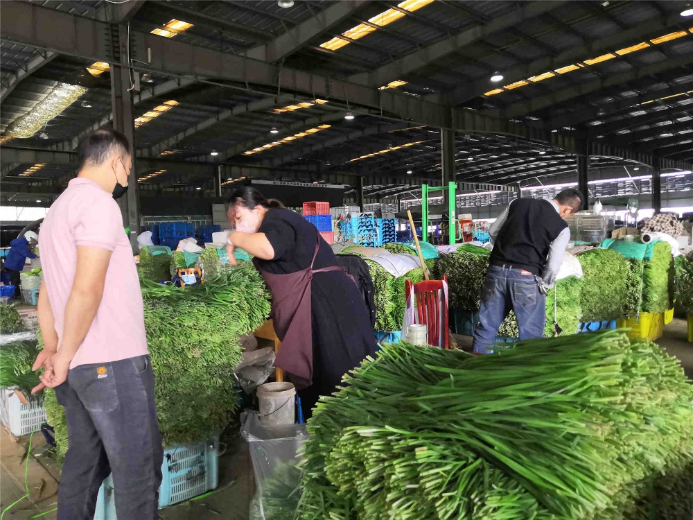 中国·yl88858(永利)集团官网-Green Moving Future