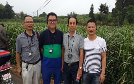 2014年8月，中国蔬菜流通协会会长戴中久与公司、市场辅导一路调查蔬菜基地