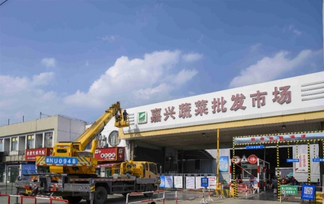进无终点，“嘉农?蔬菜人”