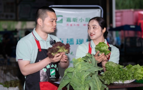 令媛如玉，，，一口清心--生菜?油麦菜?莴笋直播专场